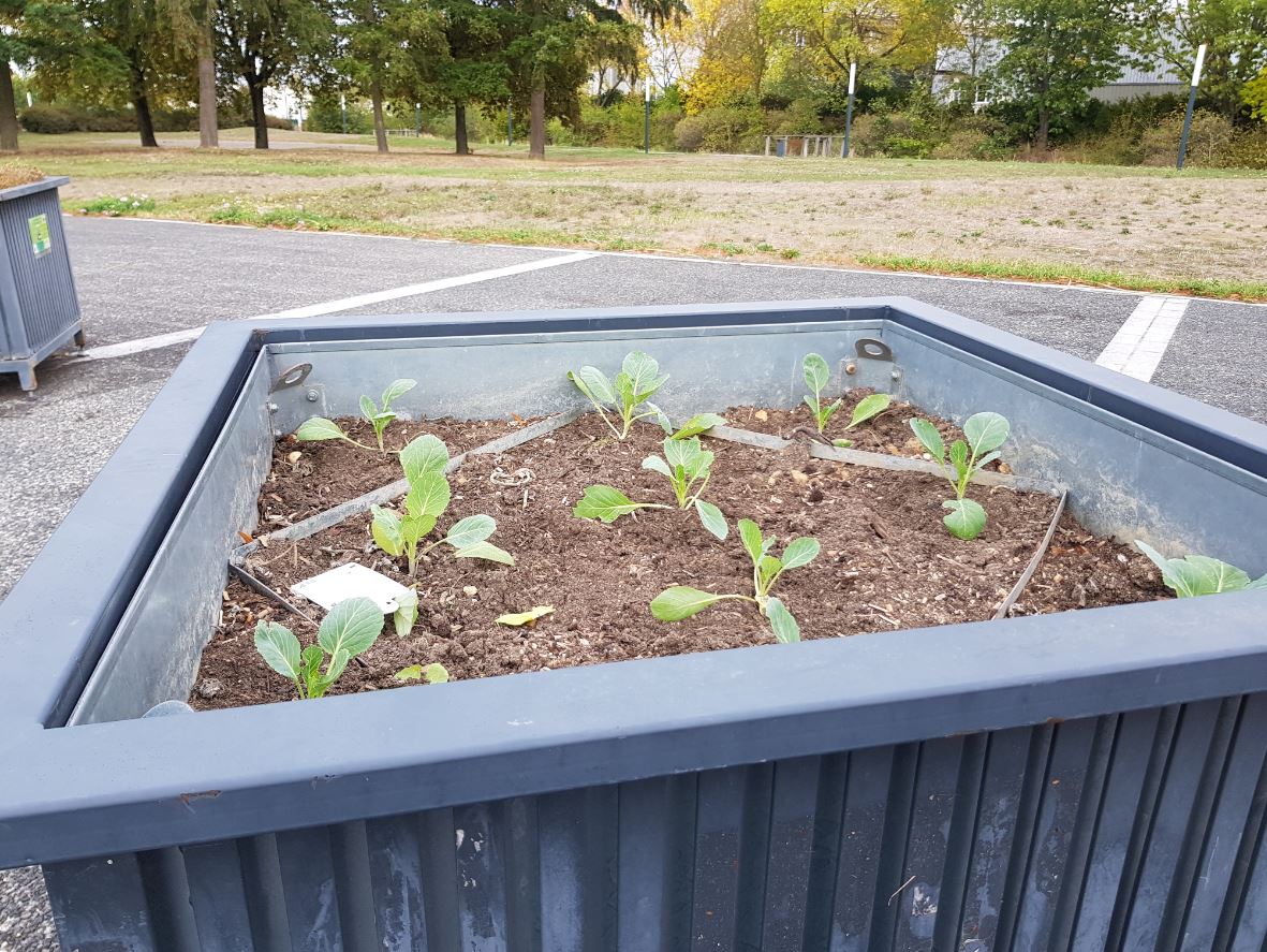 Le compostage et le jardinage au naturel - Chartres Métropole